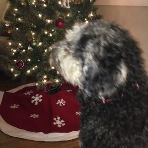 Meet your Posher, Jack